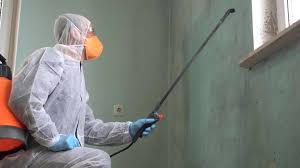 Why You Should Choose Our Mold Remediation Services in Pass Christian, MS