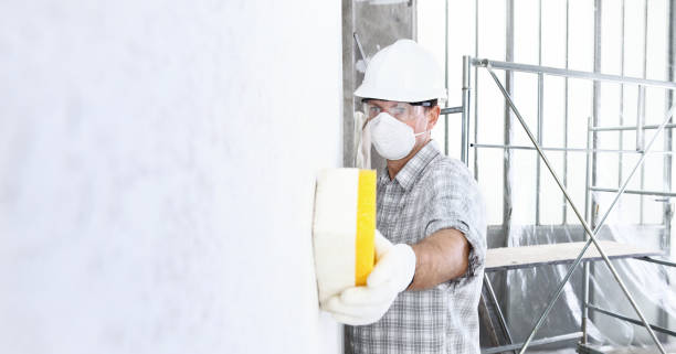 Trusted Pass Christian, MS Mold Removal Experts